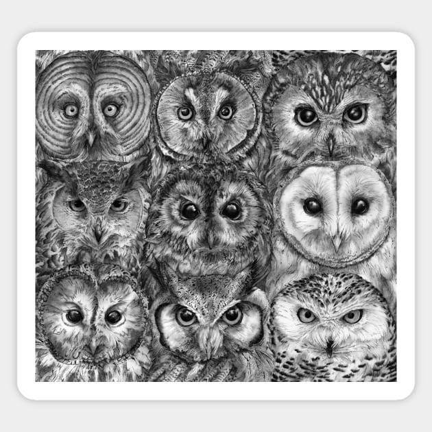 Owl Optics Sticker by FarynHughes